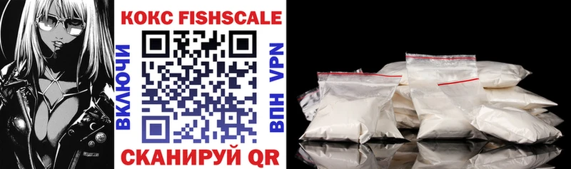 Cocaine FishScale  закладки  Дигора 