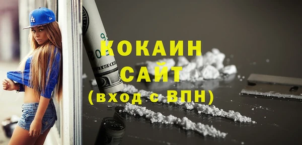 гидра Горняк