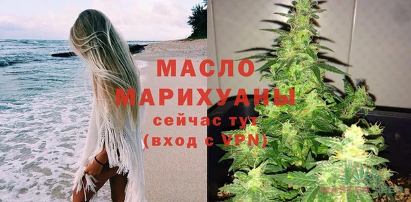 хмурый Ельня
