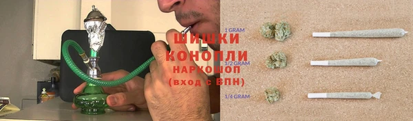 spice Гусев