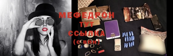 хмурый Ельня