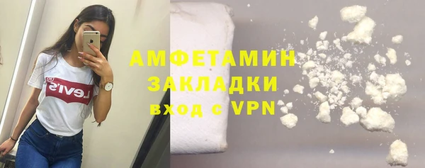 хмурый Ельня