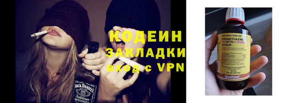 хмурый Ельня