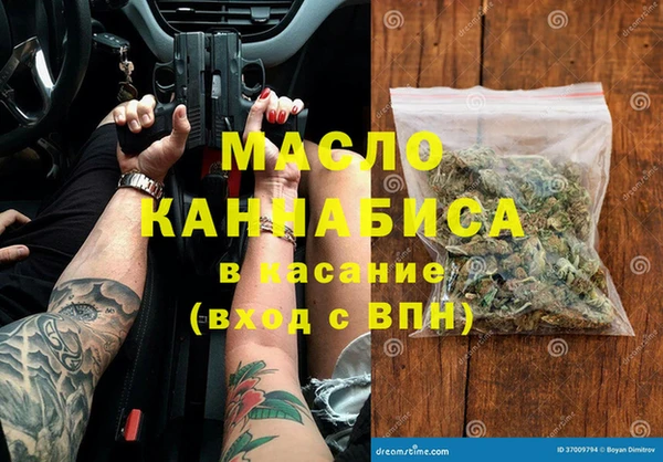хмурый Ельня
