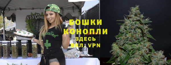 spice Гусев