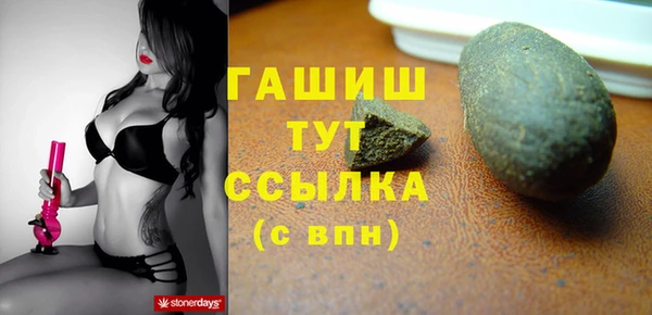 хмурый Ельня
