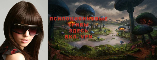 хмурый Ельня