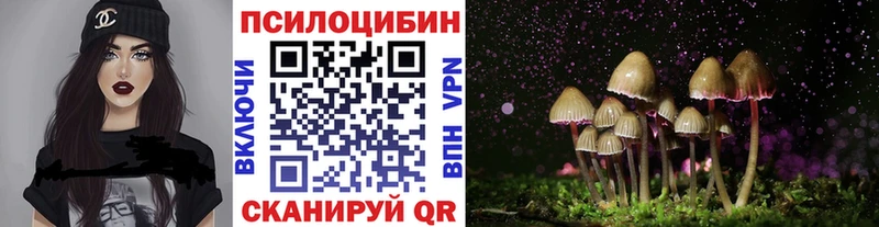 даркнет состав  Дигора  hydra зеркало  Псилоцибиновые грибы Psilocybe  как найти  